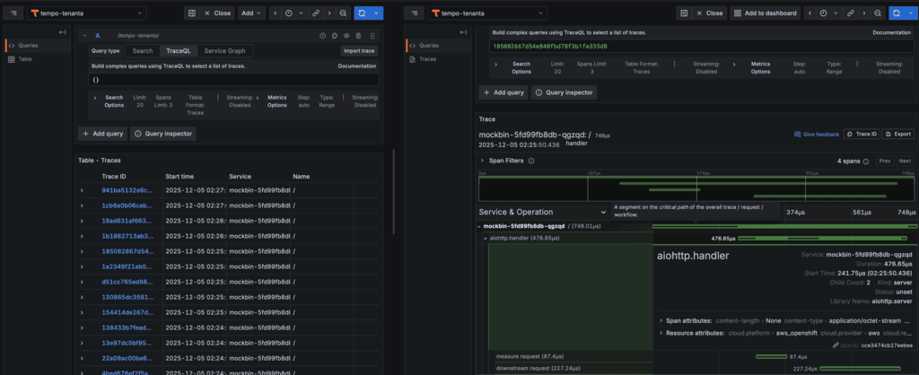 Grafana Explore Trace